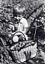 50.jpg